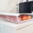 퍼털그라운드 이미지