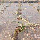 동해종합건설(주) 이미지