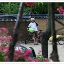 와룡초교 이미지