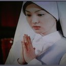 시덥