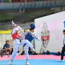 세계로 태권도 이미지