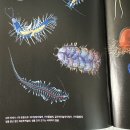 깊은바다 이미지