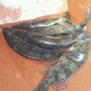 여울펜션 이미지