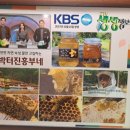 박터진흥부네 네이버블로그