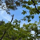 원당공원 화장실 | 계룡산 동학사1코스 후기 (ft. 등산 복장 주차장 하산식 맛집 꿀팁 총정리)