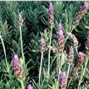 경희코스모스한의원 이미지