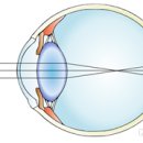 해맑은안경원 이미지