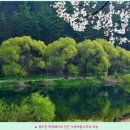 청도읍 남성현출장소 이미지