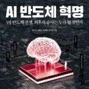 에스케이(SK)인스트루먼트 | [독서후기] 반도체 회사들에 관한 친절한 안내서. AI 반도체 혁명.