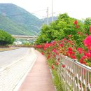 가곡강변로 이미지