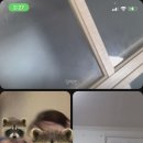 맘스터치진주과기대점 이미지