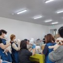 영천애견미용 이미지