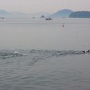 2012-05-19, 광암 수영 동영상 이미지