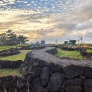 밭담 | 제주) 밭담테마공원 방문 후기 (숨은 힐링 명소, 포토 스팟)