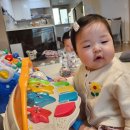 퍼피빌리지 | &#39;일산 희망 장난감 도서관&#39;에서 6개월동안 빌린 장난감종류 및 후기(6개월~12개월)