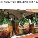 배추 가격 폭등, 한 포기 1만원 육박…‘김치대란’ 현실화하나 이미지