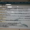 용강추어탕(봉선점) 이미지