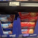 [여름특강] 나를 알아가는 타로 | [호주워홀] 브리즈번 D+17-30_워홀러 일상, 집주인 아주머니랑 아직도 함께해…