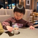 가나베스트빌2차앞 | [제주] JW메리어트 제주 리조트 &amp; 스파 후기 | 앞으로 제주 호캉스는 제리엇입니다!