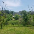 53호 문화공원 이미지