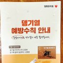 국립여수검역소 | 뎅기열 무료 신속 검사 후기