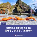 독도꽃새우 | 강원도 강릉 주문진 꽃새우 독도새우 솔직 후기 새우 구별 중요