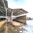 대전리목장 이미지