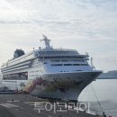 매화국제여행사 이미지