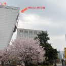 휘트니스센터 | 위례 밀리토피아 휘트니스센터 수영장 자유수영 후기