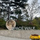 포항죽도시장번영회사무실 | 포항 여행 : 포항명소 환호공원 스페이스워크를 가보다 (+포항추천코스)