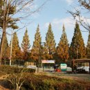 진주시어린이교통공원 청소년모험공원 이미지