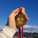 폴라베어 애견펜션 이미지