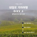 순천게스트하우스 느림 | 30대 내일로 2일차 보성 녹차밭 대한다원 벌교 꼬막정식 순천 느림 게스트하우스 체크인