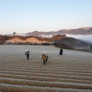 (주)더루트컴퍼니