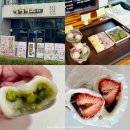 아라참 간식 | 제주 아라동 떡집 아라미소, 답례품 추천 제주송편 맛집 후기