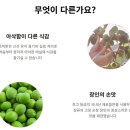 강동로6-6 티스토리