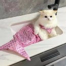 인어공주 쇼핑하우