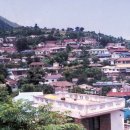 태인동 장내마을 이미지