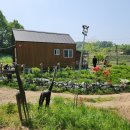 기린농장 이미지