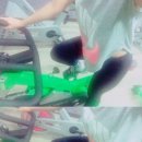 브이아이피요가필라테스