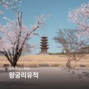 생활체육광장 공중화장실 | 전북 가볼만한곳 익산 왕궁리유적 벚꽃 대전 근교 당일치기 여행