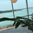 제주바다너머집해변점 이미지