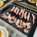 근황기록(9.8~9.15)