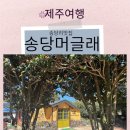 송당머글래