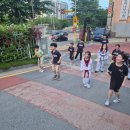 용인대 미르 태권도장 이미지