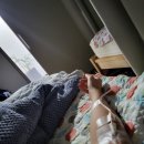 향기나는내과의원 이미지