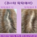 큐사랑우아동