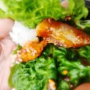 해남집 | 상무지구맛집 [해남집] 방문후기