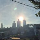 2박3일부산여행 액티비티 / 3일차 후기 / 해동용궁사 스카이라인루지 블루라인파크 해변열차