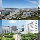 메디컬킹스